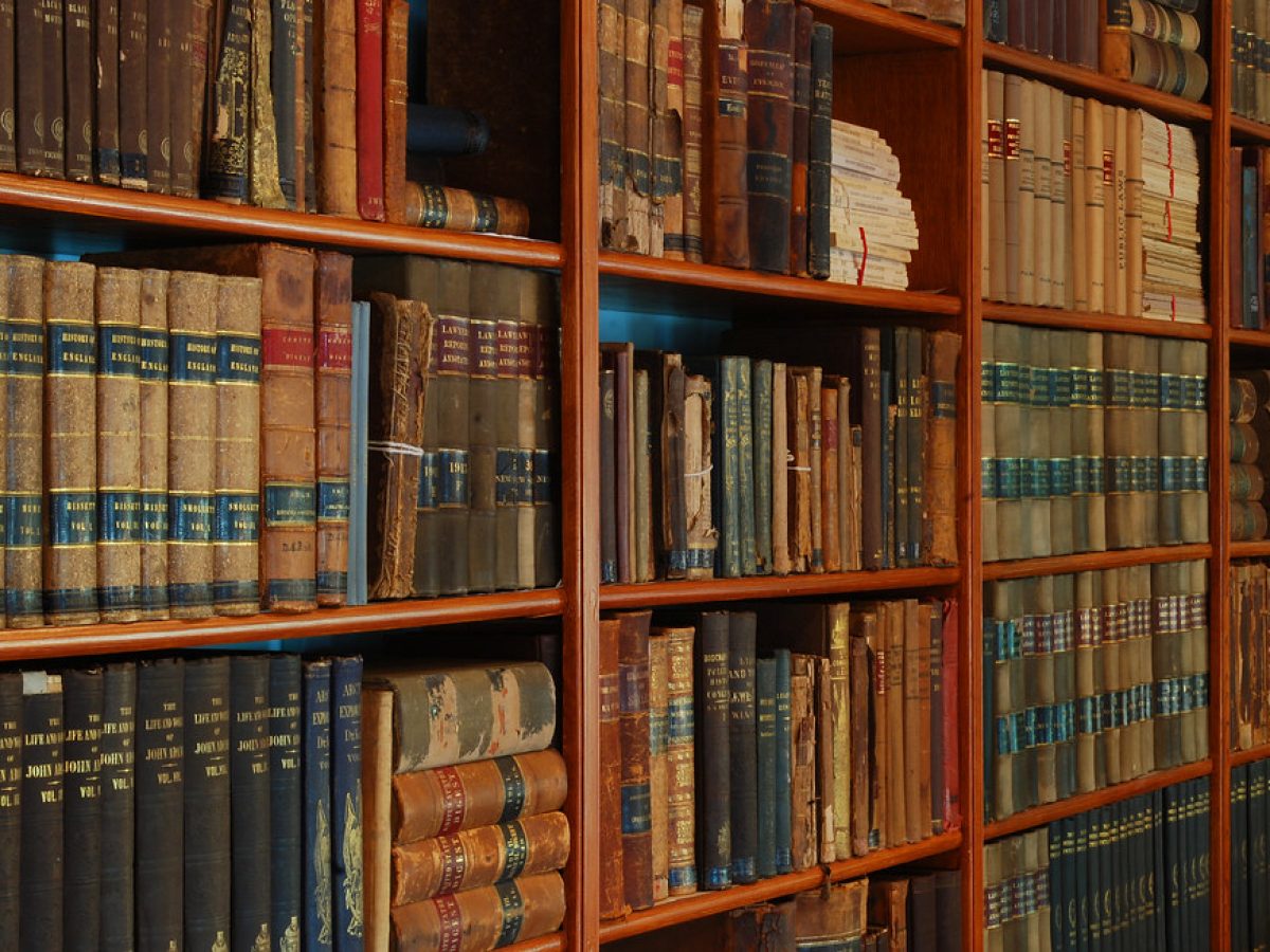 Estantes de la biblioteca del colegio con libros